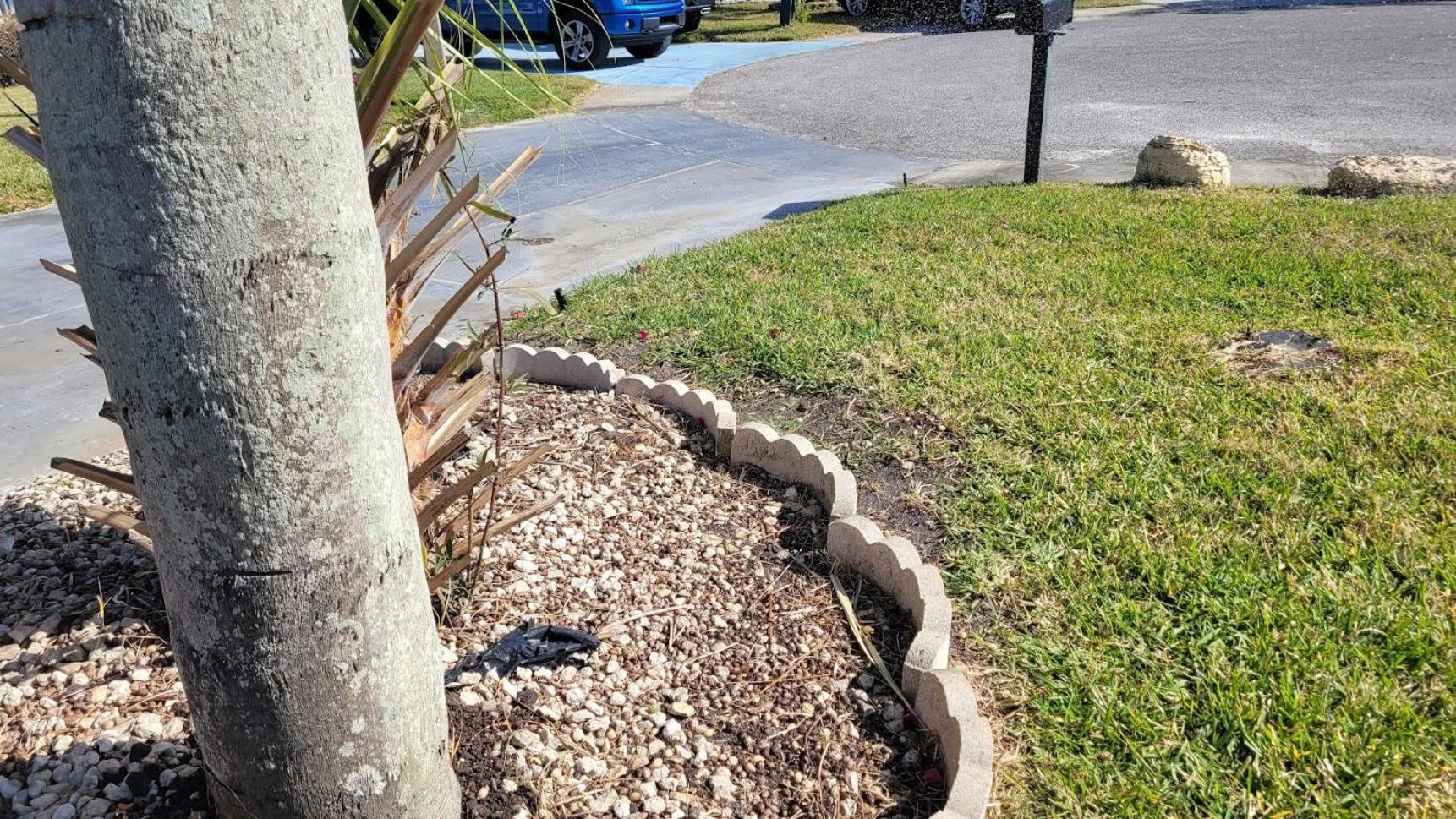 Appartement Near Clearwater And Tarpon Spring With Water View à Holiday Extérieur photo